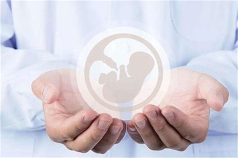 http://baoding.vdtfzz.com/post/214.html|保定人工试管